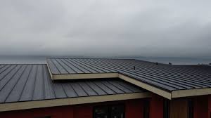 Best Roof Coating and Sealing  in Clinton, WI